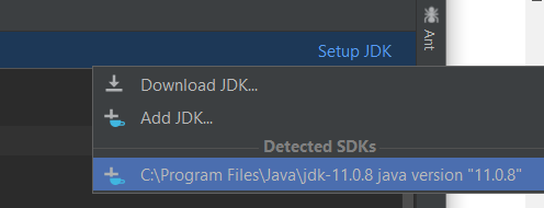 Detected SDK: JDK 11