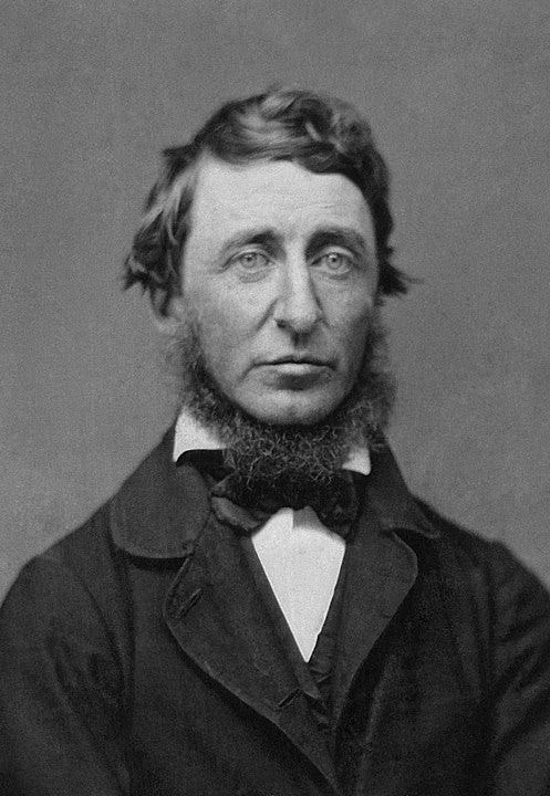 Portrait photograph from a ninth-plate daguerreotype of Henry David Thoreau