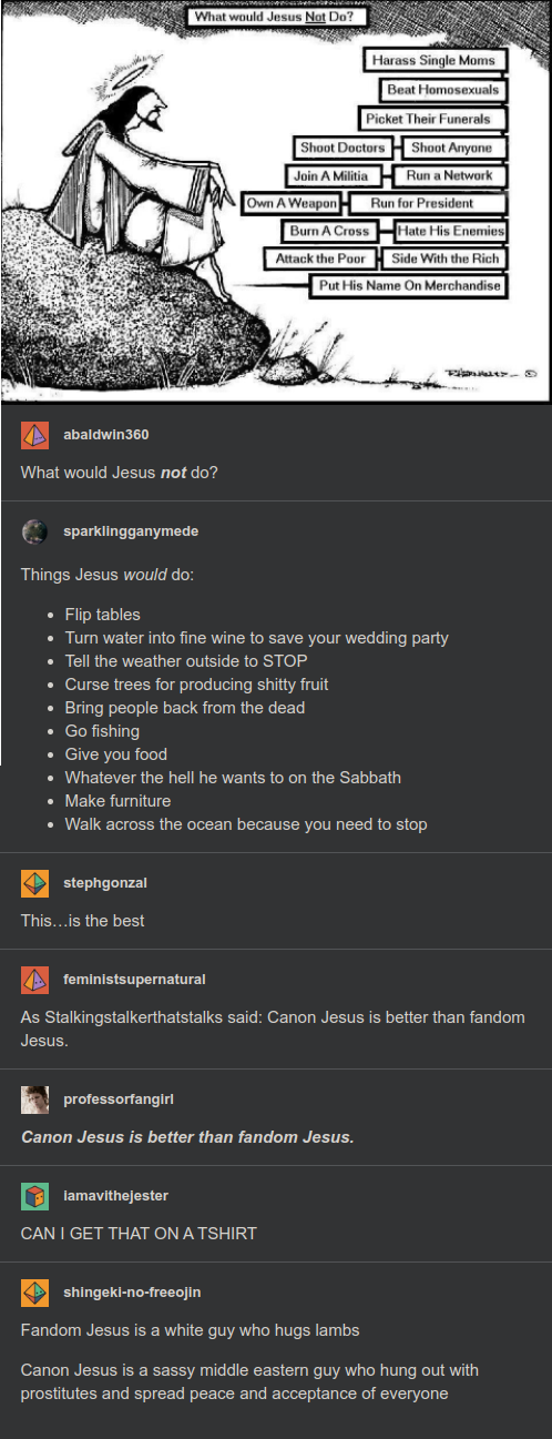 A tumblr post by user abaldwin360 that begins with a comic titled What would Jesus Not Do? Various list items below the comic’s title include: Harass Single Moms; Beat Homosexuals; Picket Their Funerals; Shoot Doctors; Shoot Anyone; Join A Militia; Run a Network; Own A Weapon; Run for President; Burn A Cross; Hate His Enemies; Attack the Poor; Side With the Rich; Put His Name On Merchandise. Reblogs below this discuss the comic, including the phrase being discussed in this article.