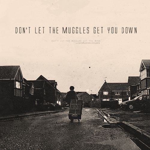 harry potter don't let the muggles get you down