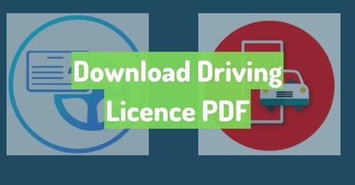 Download Driving Licence PDF