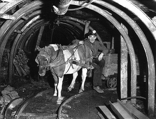 Some animals that remained on the home front during WWI in UK history were pit ponies working in mines.