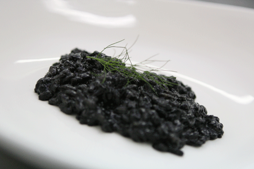 Risotto with fresh squid ink