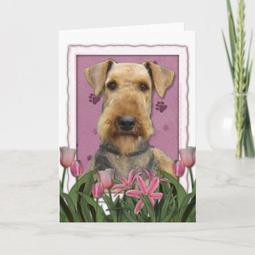 Mothers Day - Pink Tulips - Airedale Card