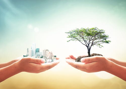 Hands of two people, one is full of developed city and another has a tree growing in it, which represents the balance between the development and nature.