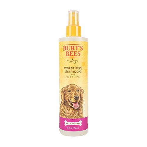 Burt's Bees Natural Dry Shampoo with Apple & Honey