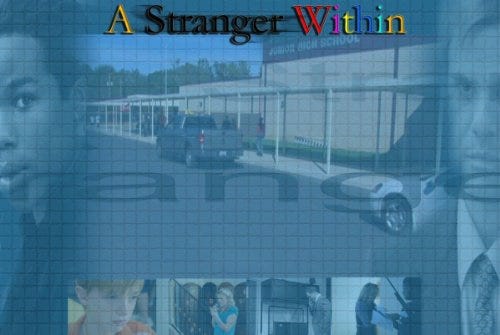 A Stranger Within (2009) | Poster