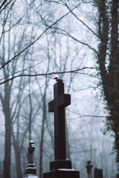 FOTO SOMBRIA DO CRUCIFIXO DE UMA LÁPIDE COM UM CORVO PRETO POUSADO SOBRE ELA.