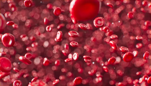 Representation of blood cells