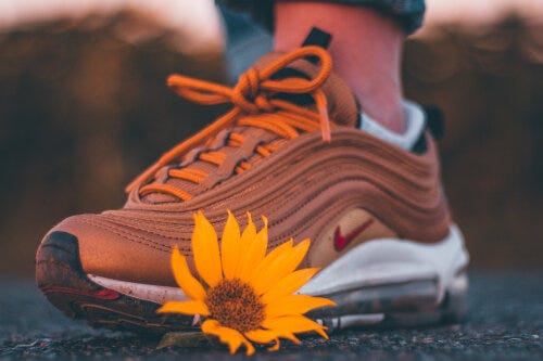 Value: Nike and/or Nature?