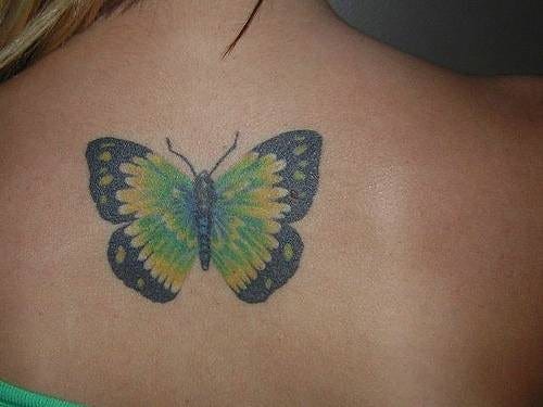 Butterfly Tattoo 1072