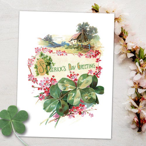 Vintage Shamrocks St. Patrick's Day Greetings Postcard