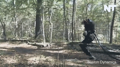 ATLAS robot stumbles around in the forest, dodging twigs.