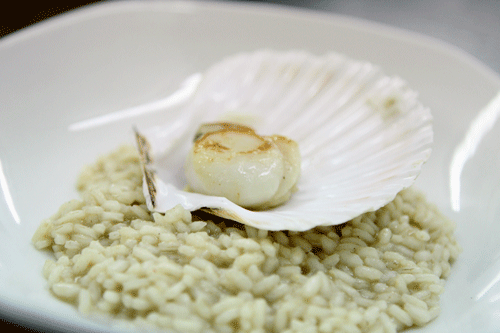 Risotto with sparkling wine and scallops