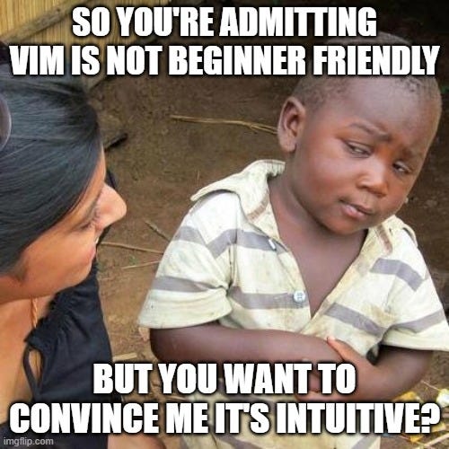 Skeptical third world kid with the sayings “So you’re admitting Vim is not beginner friendly” above and “but you want to convince me it’s intuitive?” below