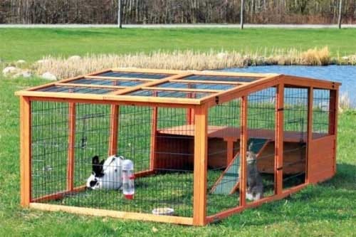 cage for a rabbit
