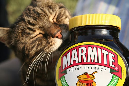 A tabby cat smelling a jar of Marmite lovingly