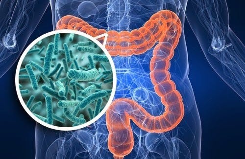 Image result for microbiome