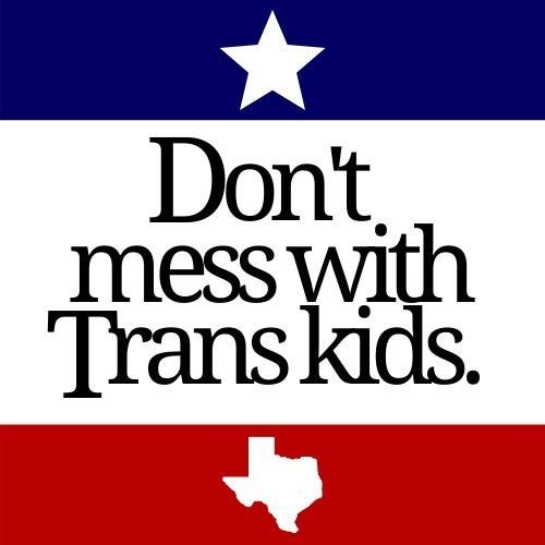 A message reading “Don’t Mess With Trans Kids” in the style of “Don’t Mess With Texas”