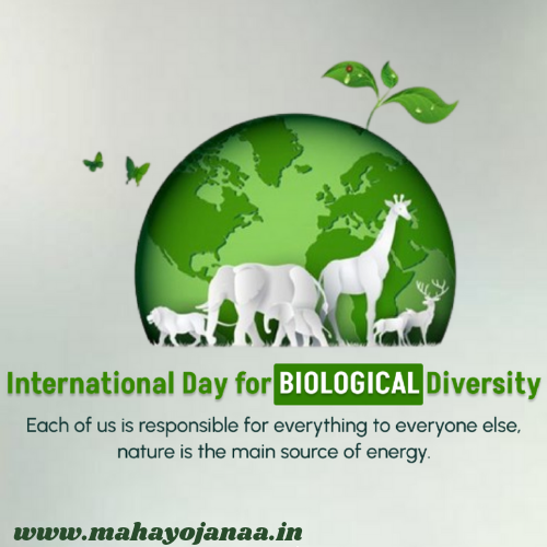 International Day for Biological Diversity 2024