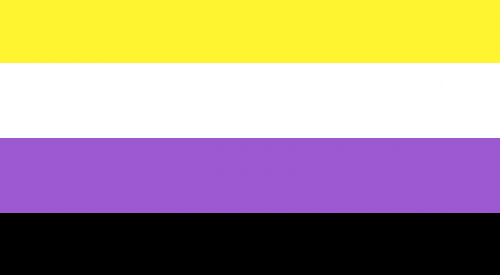 An image of the non-binary flag featuring yellow, white, purple and black stripes.