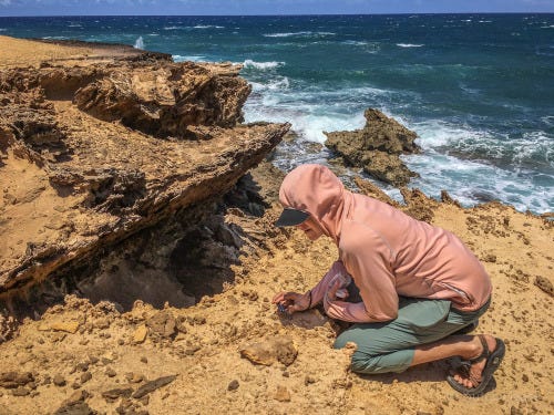 A researcher in a pink jacket kneels on the rocks near the ocean.