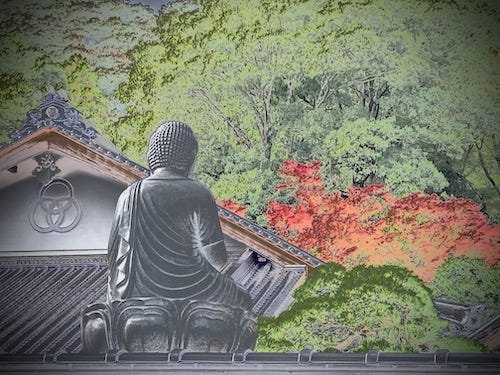 a statue of a seated Buddha facing a temple and autumnal forest trees in the background