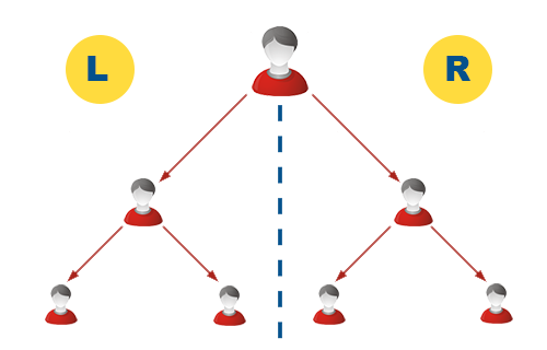 Binary MLM plan structure, MLM binary plan software