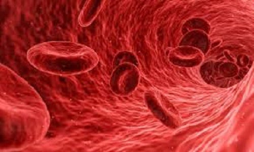 Blood cells