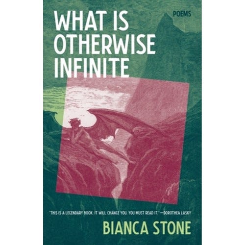 what is otherwise infinite by bianca stone