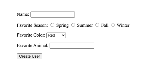 An example of a form asking for name, favorite season, favorite color, and favorite animal.