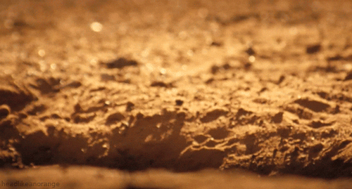 A GIF of a meerkat curiously peeking out from a hole in a ground and then quickly retreating back into the hole