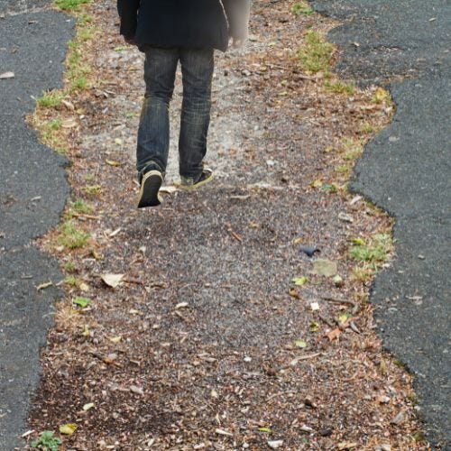 person walking on a path