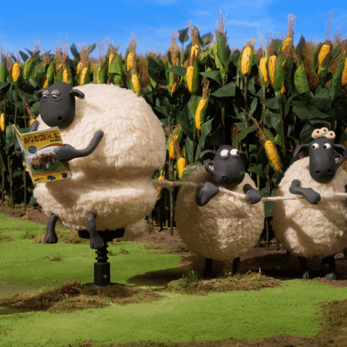 A gif from the Shaun the Sheep, where two sheep are unravelling the wool of a third sheep.