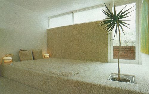 White interior, featuring a white simple floor bed and one small palm tree in front of it.