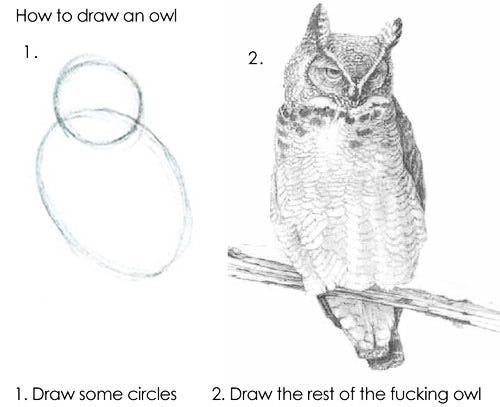 An exaggeratedly simplified 2 step process for drawing an owl
