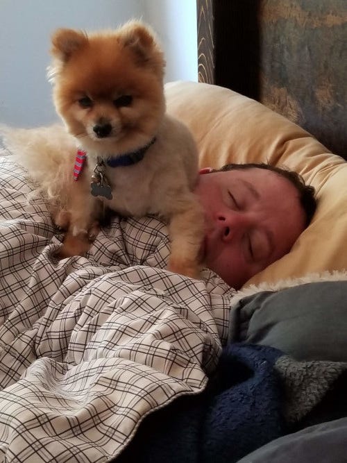 A small dog walks on the sleeping author of this post.
