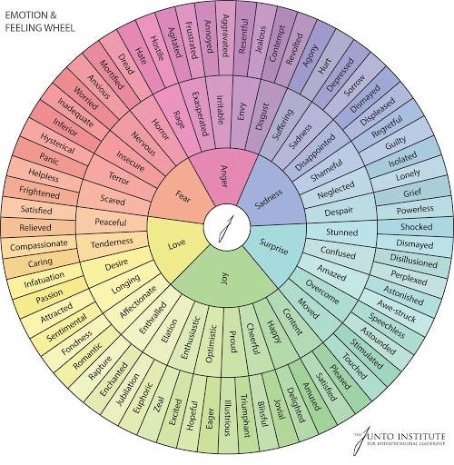 Feelings vocabulary wheel