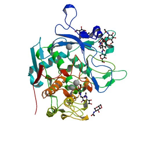 human tyrosinase related protein 1 (T391V-R374S-Y362F) in complex with mimosine