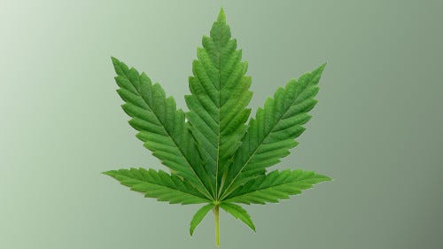 cannabis leaf