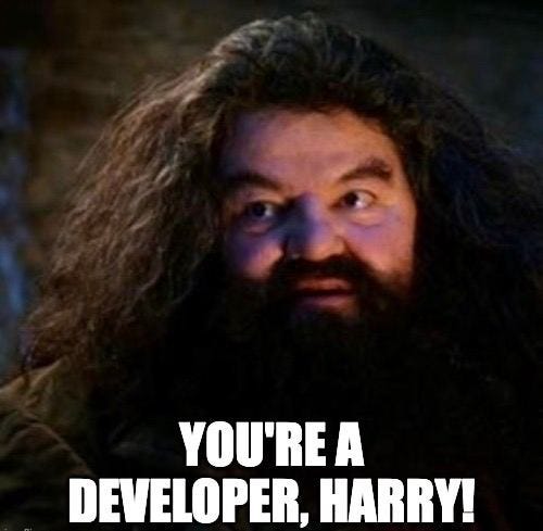 Hagrid says to Harry that he is a developer.