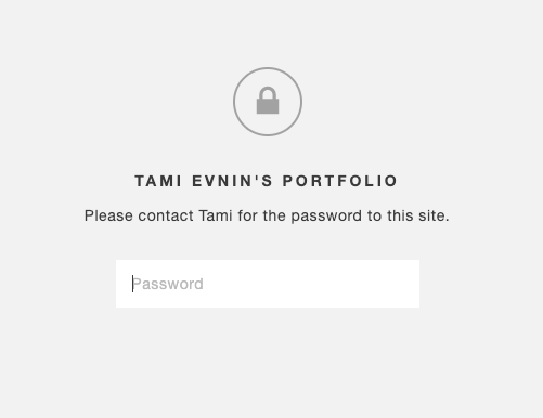 Password protected roadblock to the author’s portfolio website