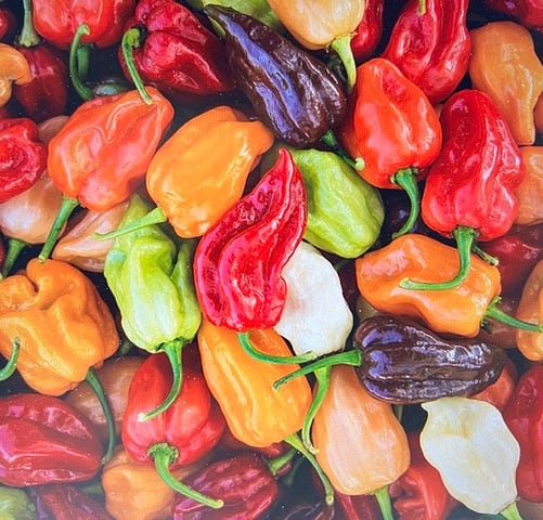 A full array of all things peppers. All types of colors and types.
