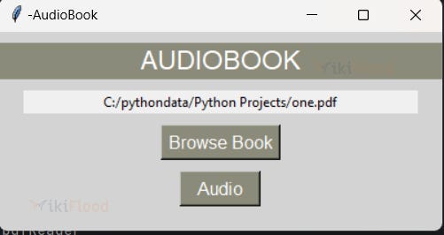 Audiobook in Python Output