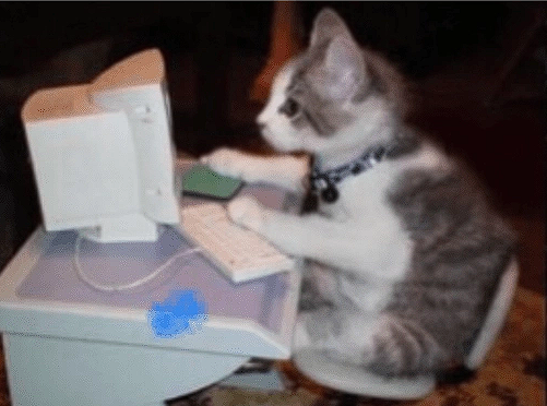 gato branco e cinza sentado em uma cadeirinha, na sua frente tem um computador antigo e suas patinhas estão em cima do mouse e do teclado, como se ele estivesse usando o computador