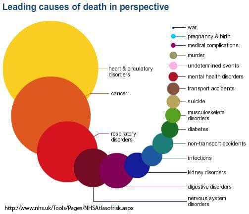 Leading Causes Of Death In Perspective