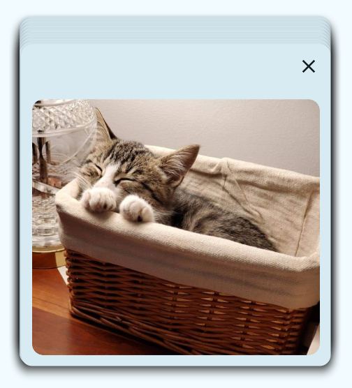 Cards are stacked in a way that they align horizontally almost perfectly. The topmost card has a picture of a cat sleeping in a basket, with the front paws cutely on the edge of the basket.
