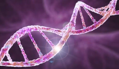 a picture shows a DNA strand and describes DNA analysis through health and fitness technologies