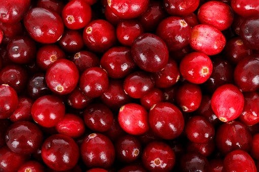 Cranberry UTI supplement