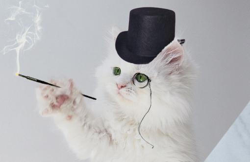 Fluffy white cat wearing a monocle and top hat.